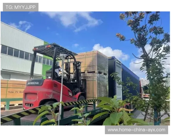 运动康复产业生态链完善带动上下游协同增长