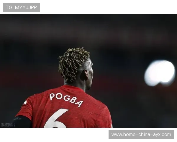 布莱顿完成中路组织补强