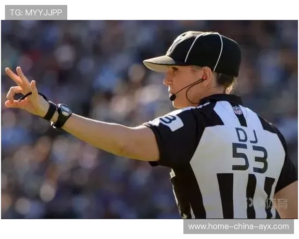 裁判员轮岗制度提升执法公平性和专业性，裁判员的执法原则