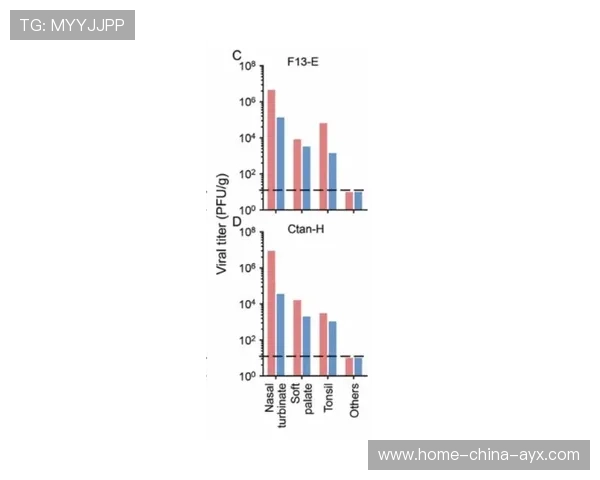 布莱顿边线推进组织度极强构筑多点覆盖